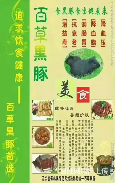 黑豚养殖 - 图片 2