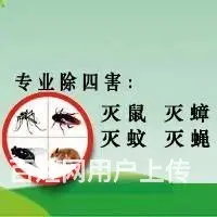 专业四害消杀除蟑螂除蚂蚁除老鼠除百虫 根除干净 - 图片 1