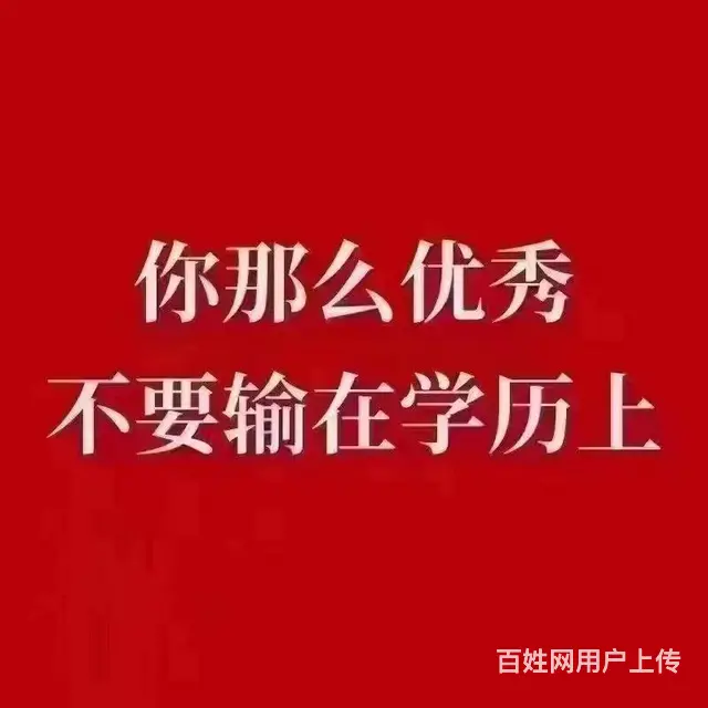 桐乡高桥哪里可以报考成人高考？ - 图片
