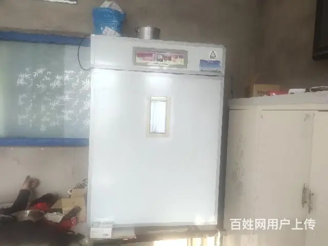 孵化机九成新 - 图片 1