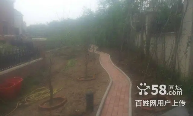 卖鹿粪鸡粪猪粪黑土花土假条茄子秧等 - 图片 6