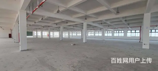 董浜工业园全新独栋独院厂房8400平，可分租，配套设施齐全 - 图片 1