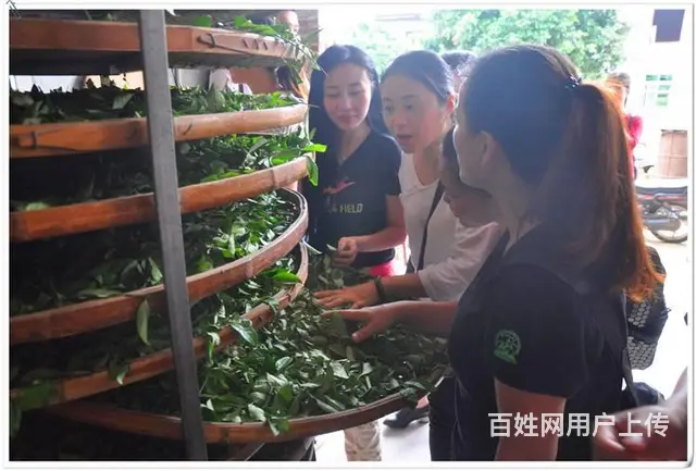 问天晟茶艺培训学校：中级茶艺师培训班多少钱 - 图片 6