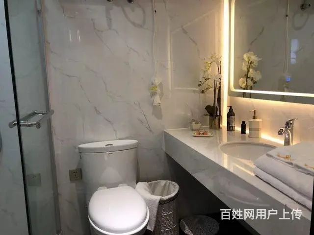 优优学府 精装修住宅 实验小学 师范附属学校，湿地 - 图片 7