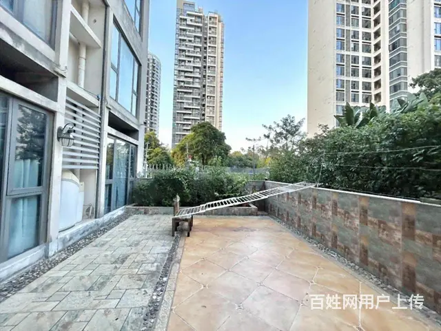 中信红树湾旁 南湾国际 一楼带花园 豪华装修 齐全 - 图片 4