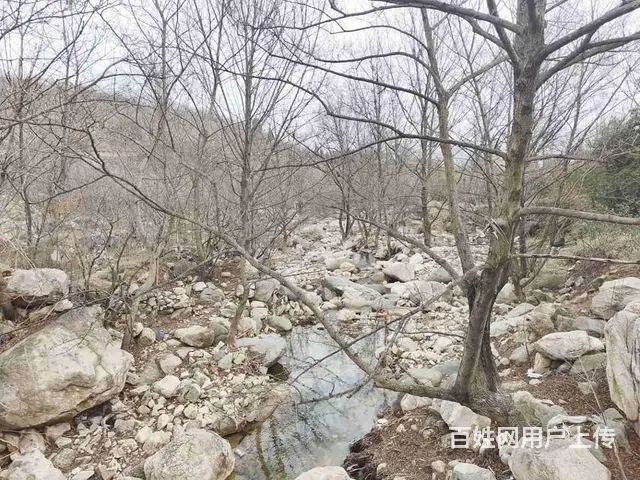 【福铺】泰山脚下小河边|560平房子出租|免租3年 - 图片 8