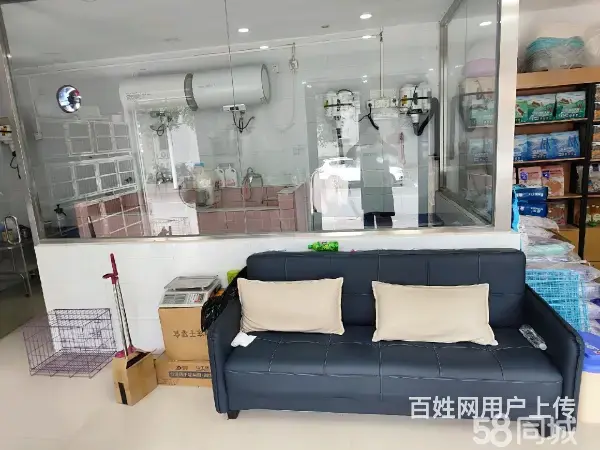 急转！邢台市桥东区南园路80平博爱宠物店 - 图片 4