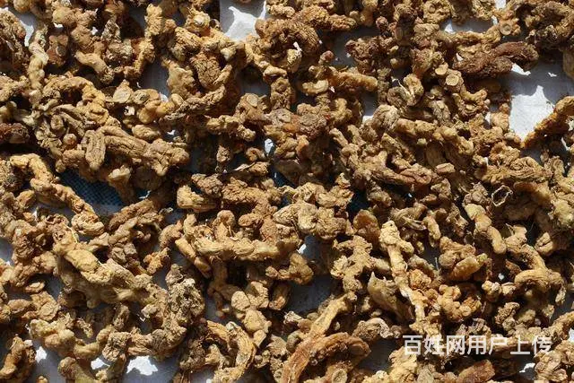 湖北百草堂黄精种植市场供不应求，不用担心销售不出去 - 图片 1