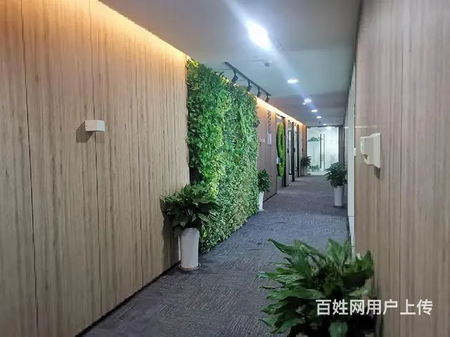 招商直租下沙精装150方带3个格局，户型方正落地窗欢迎来电 - 图片 7