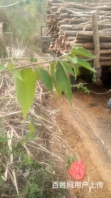 本人转让一台自用四驱拖拉机，合用的可以过来看车18 - 图片 2