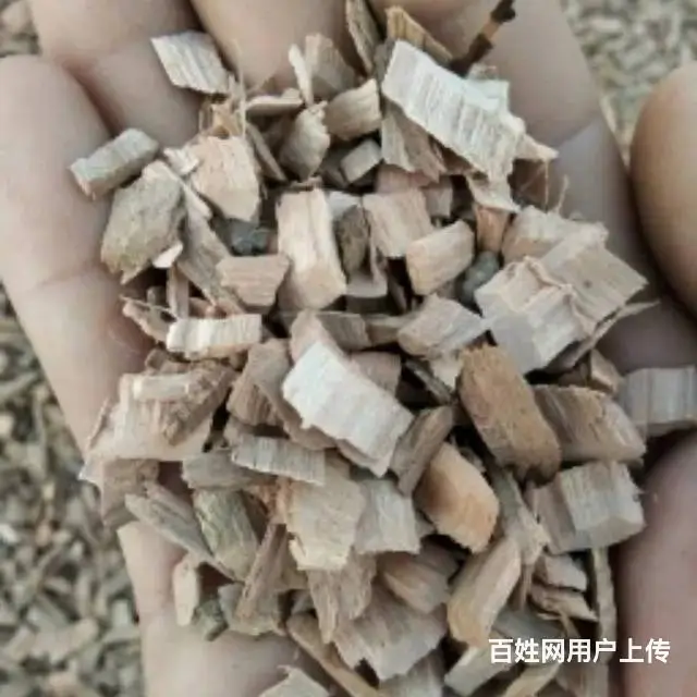 【搞定了！】大量收购苹果木 - 图片