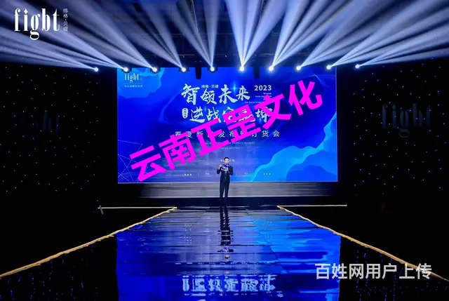 舞台灯光音响、桌椅、LED屏、桁架喷绘、道旗、空飘 - 图片 12