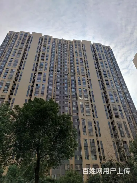 业主自住中式风 近金地自在城 盛世家园 林湖景苑 - 图片 12
