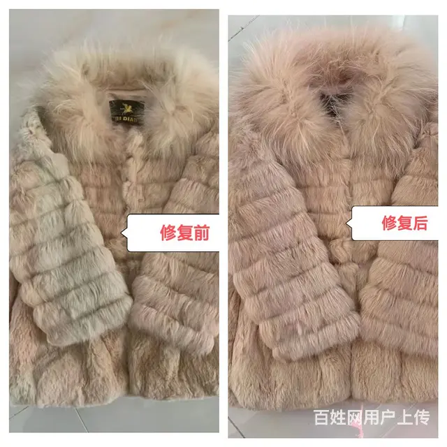 合肥干洗店技术培训.洗衣洗鞋皮具护理培训 - 图片 2