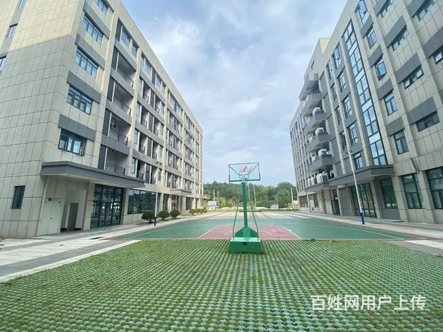 开福区沙坪长青路大明工业园旁3000平园区厂房出租，可分租 - 图片 9
