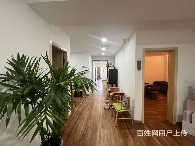 临淄区美容养生足疗等都可用 - 图片 12