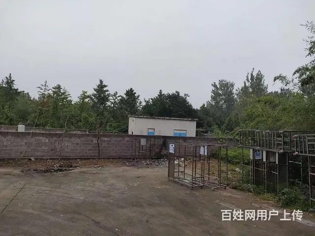 58金铺）义堂1200平厂房带独立变压器可做彩光瓦或pvc类 - 图片 2