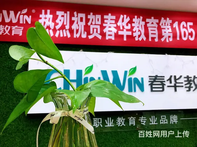 徐州春华教育成人高考培训专起本学历提升培训学信网可 - 图片