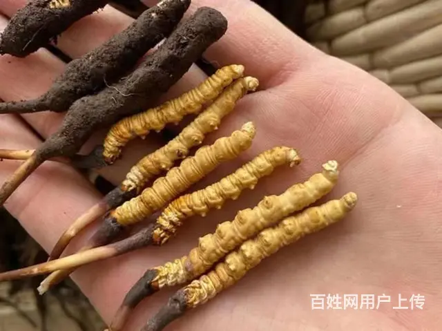 花桥烟酒回收-花桥正规回收烟酒平台 - 图片 3