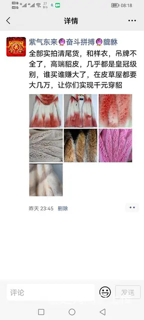 皇冠貂皮 - 图片 3