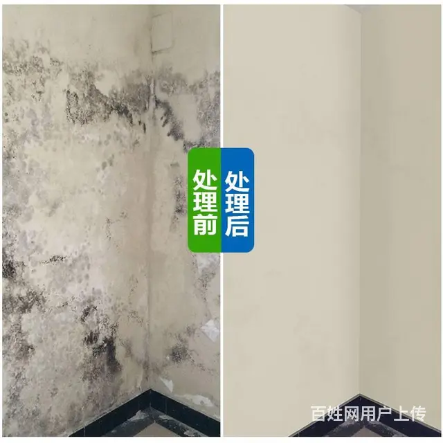广州天河岗顶除霉公司，墙体去霉服务，房子顶部除发霉 - 图片 7