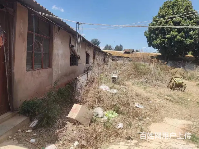 养猪场求租 - 图片 10