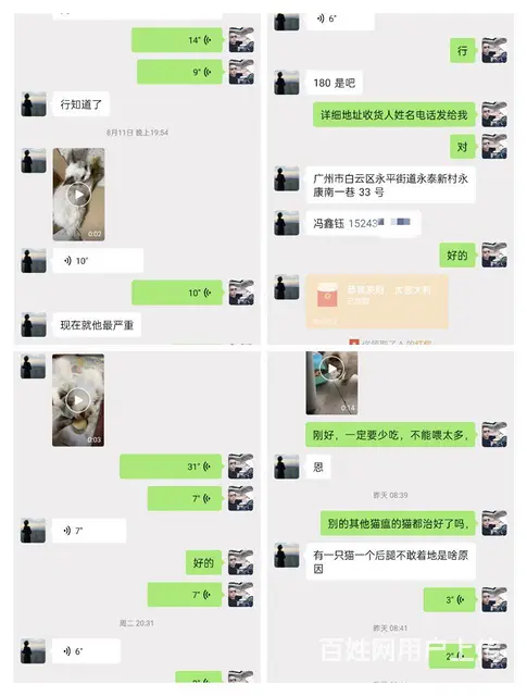 猫瘟特效药 - 图片 2