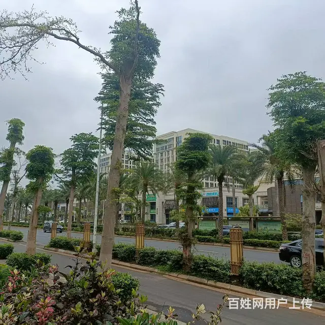 （51旺铺推荐）绿地城璟园150平铺面出租 - 图片 3