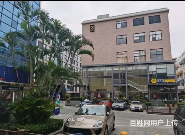 急招视频达人/主播 - 图片 4