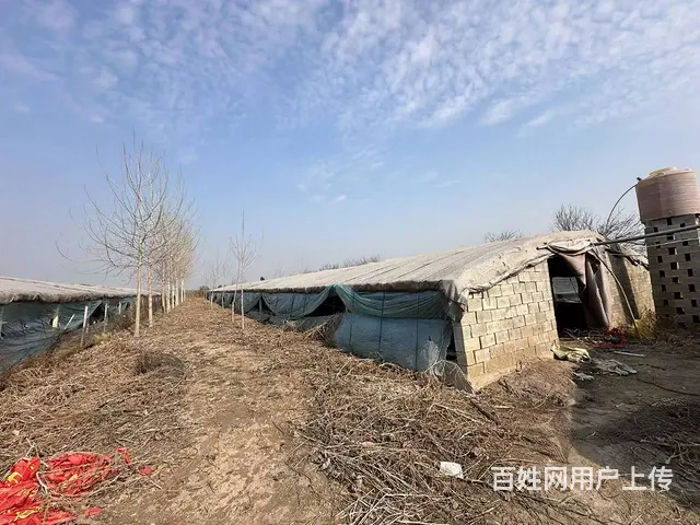 （弘扬快讯）铜山区三堡胜阳养殖场出租 - 图片 6