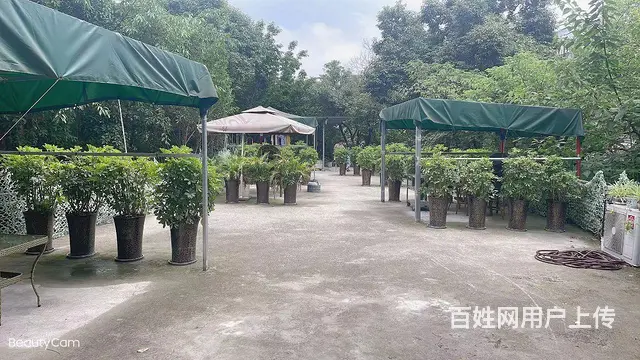 旺铺居）洞天公园KTV+茶楼客源稳定整体转让或出租 - 图片 6