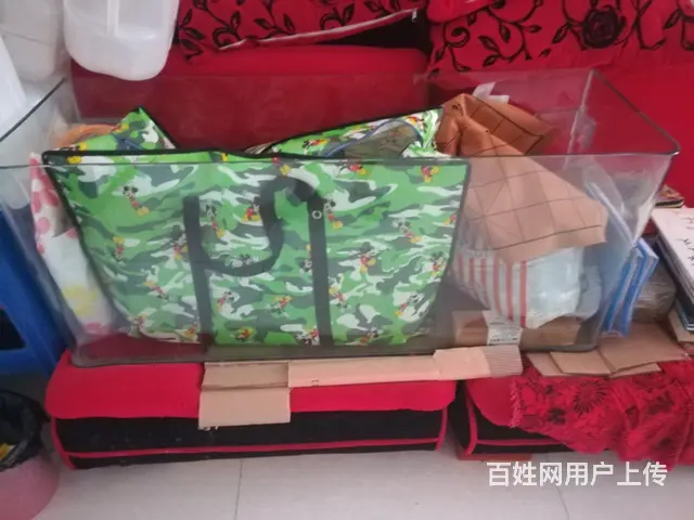 裸鱼缸 - 图片