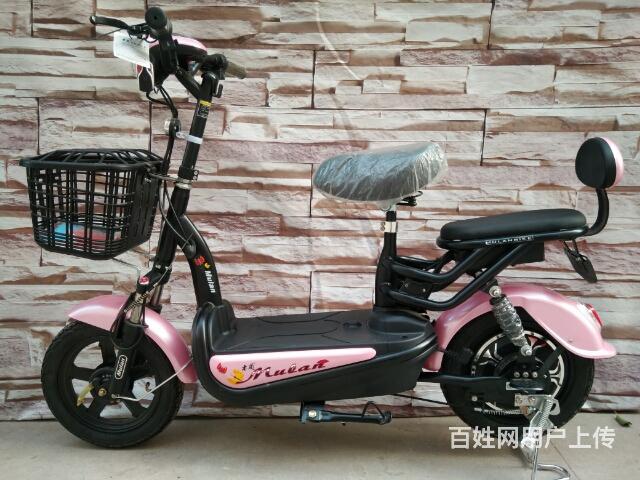 潍坊龙祥车业 名牌木兰,雷玛电动车