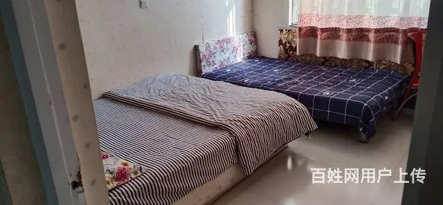 春天自助公寓，两室一厅 - 图片 5