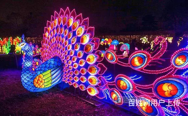 河南传壹花灯彩灯制作，租赁，场地布置 - 图片 1