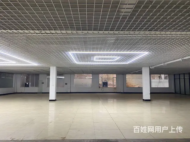 (房东直租)岳麓区雷锋大道1050平米厂房、仓库优价出租 - 图片 7