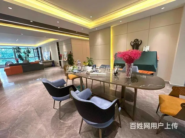 急售观复国际大平墅豪装现代简约风，带花园仅898万 - 图片 6