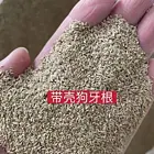 百色值得相信的草籽畅销全国