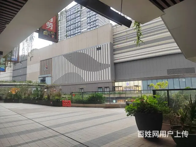 （51旺铺推荐）龙湖麦当劳旁52平旺铺出租 - 图片 9