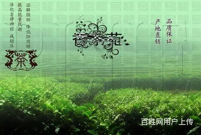 珠海灯箱广告字广告牌制作发光字一站式服务 - 图片 7