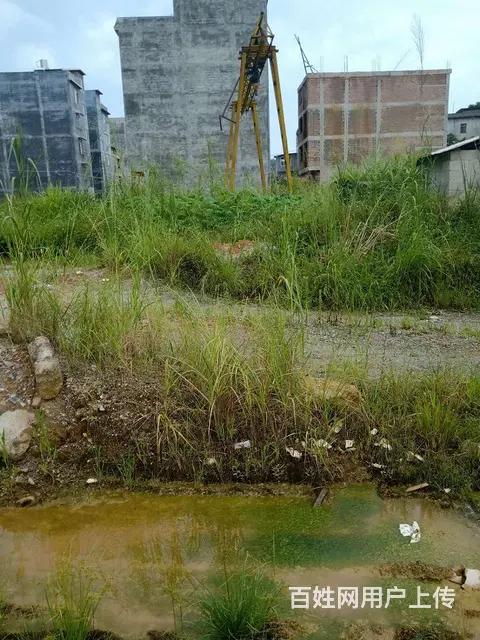 六荣开发区集体土地岀售(2) - 图片 4