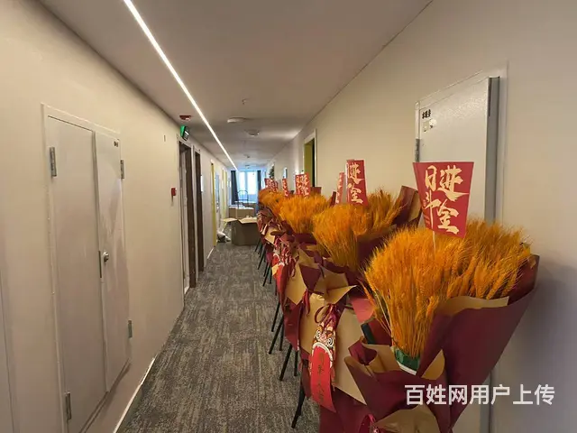宾馆出兑转让/宾馆转让出兑/民宿出兑/酒店公寓出兑 - 图片 3