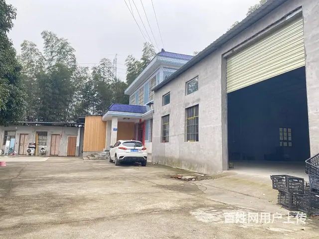 (房东直租)开福区沙坪街道320平厂房，仓库优价出租 - 图片 8