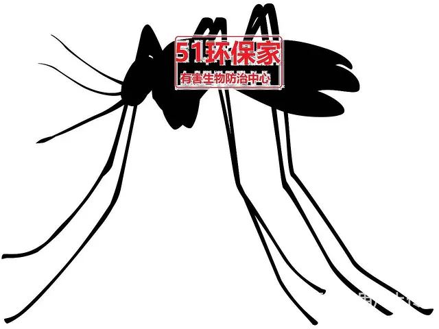 【安全彻底】武汉三镇灭鼠除虫灭白蚁灭蚊蝇 - 图片 5