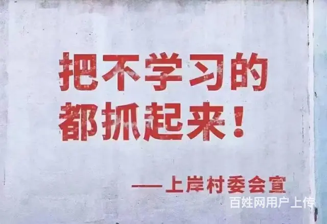诸暨哪里可以提升学历-成考考什么 - 图片
