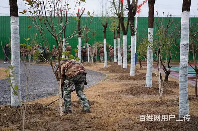 甘肃兰州专门管理叛逆孩子的学校 叛逆期教育学校 - 图片 6