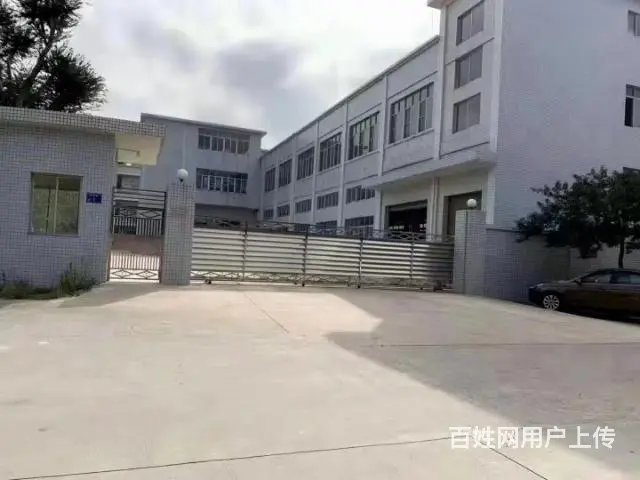 出租遂溪县城仓库厂房面积800平1000平2千平方 - 图片 7