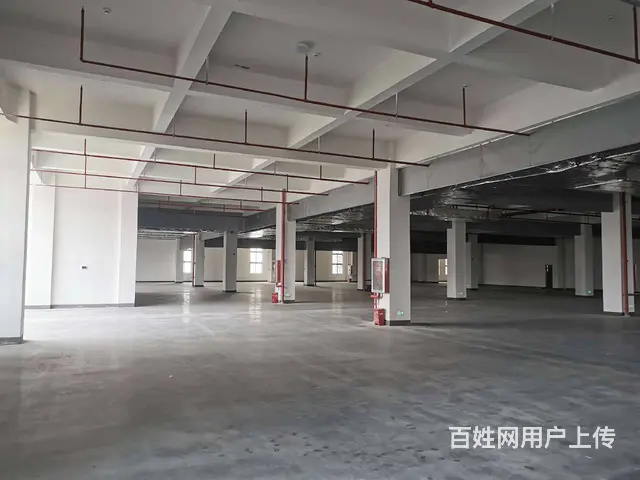 尚湖鸳鸯桥标准厂房10500平，宿舍配套，适合各种行业，分租 - 图片 3