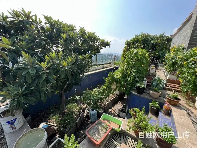 复兴钱江时代公寓589.98平4200.00万元别墅热卖 - 图片 4