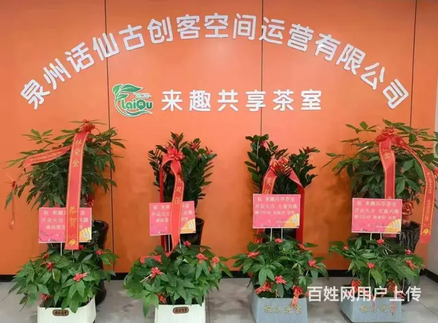 美福财富中心店铺招租（水头海联创业园） - 图片 5